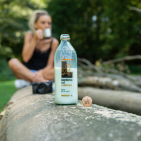 Laptaria cu Caimac 1-12