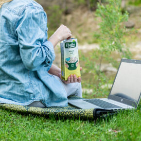 Nuteline Munte Fara personaj (9 of 10)